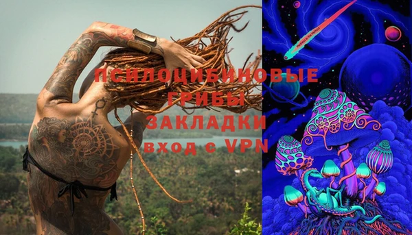 гидра Семикаракорск