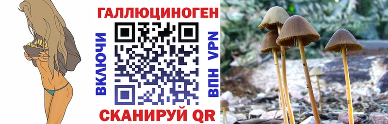 Псилоцибиновые грибы мицелий  как найти закладки  Коряжма 