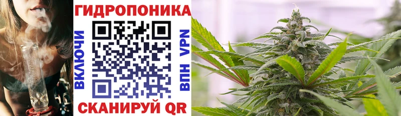 купить наркотики сайты  Коряжма  Марихуана MAZAR 